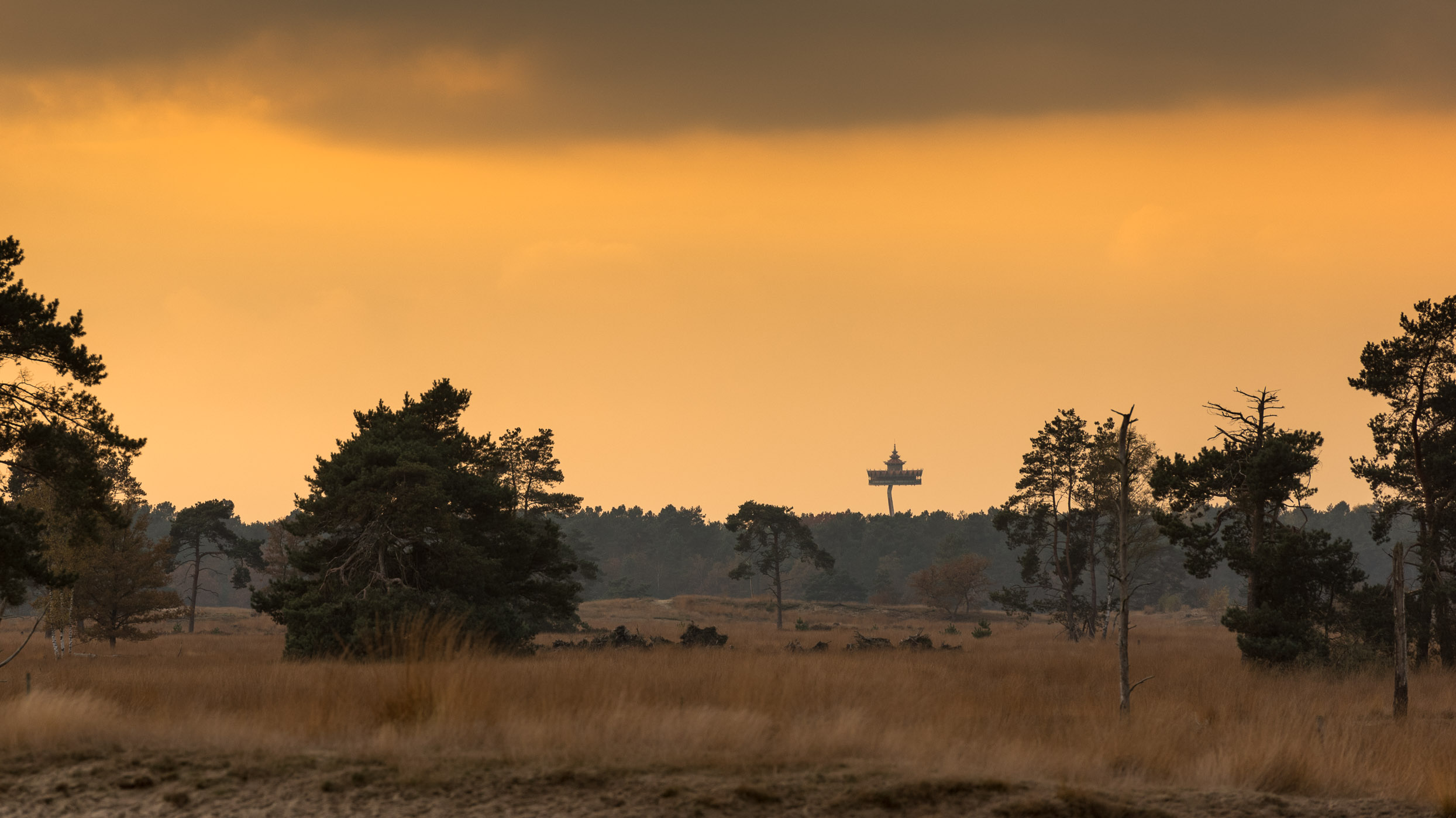 Pagode in Efteling gefotografeerd vanaf de Loonse en Drunense Duinen