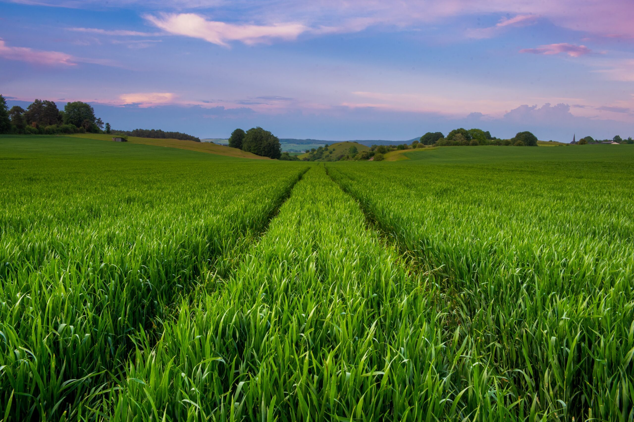 Zo gebruik je leidende lijnen voor een goede composite