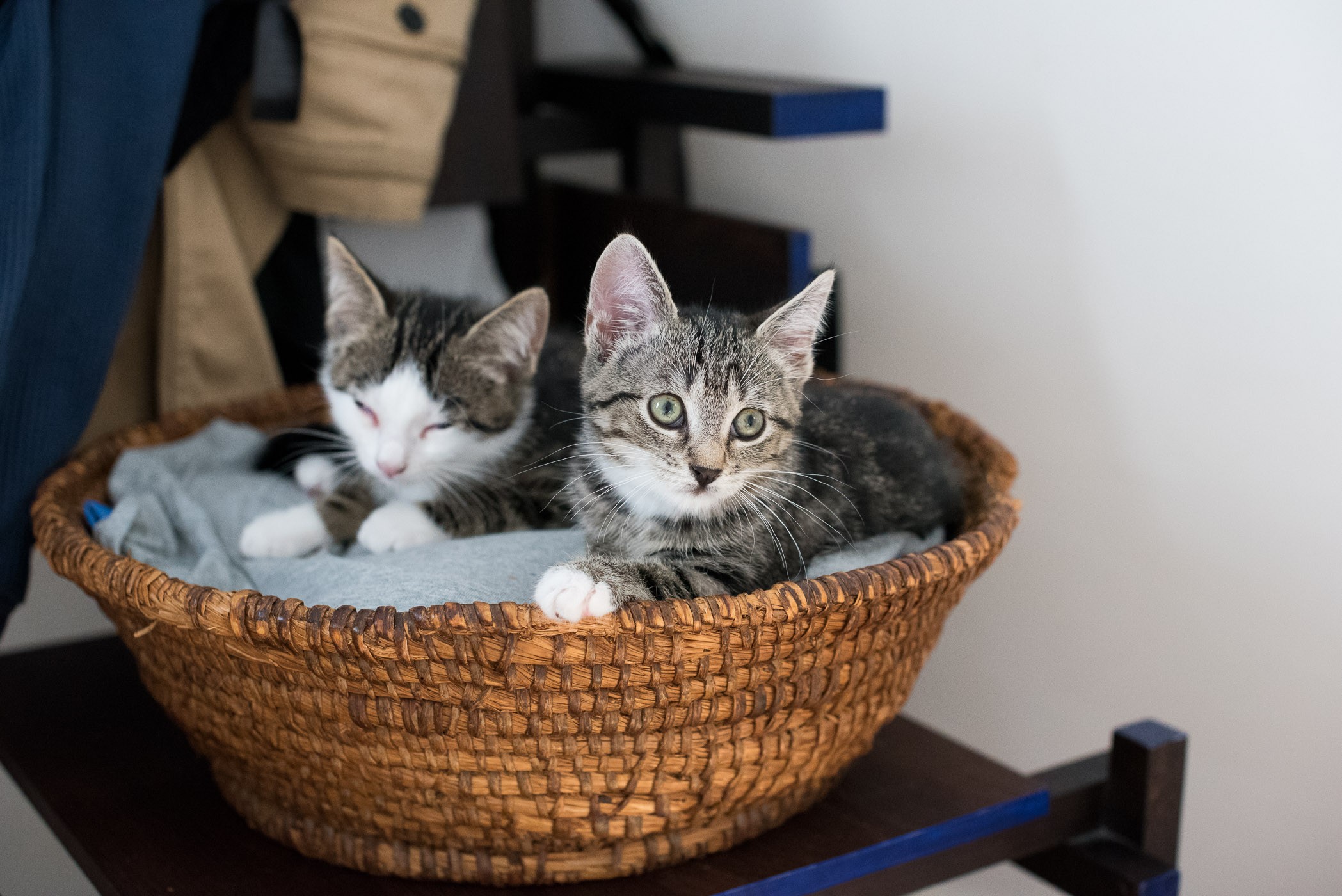 Let op de achtergrond; vermijd een te drukke of rommelige achtergrond.