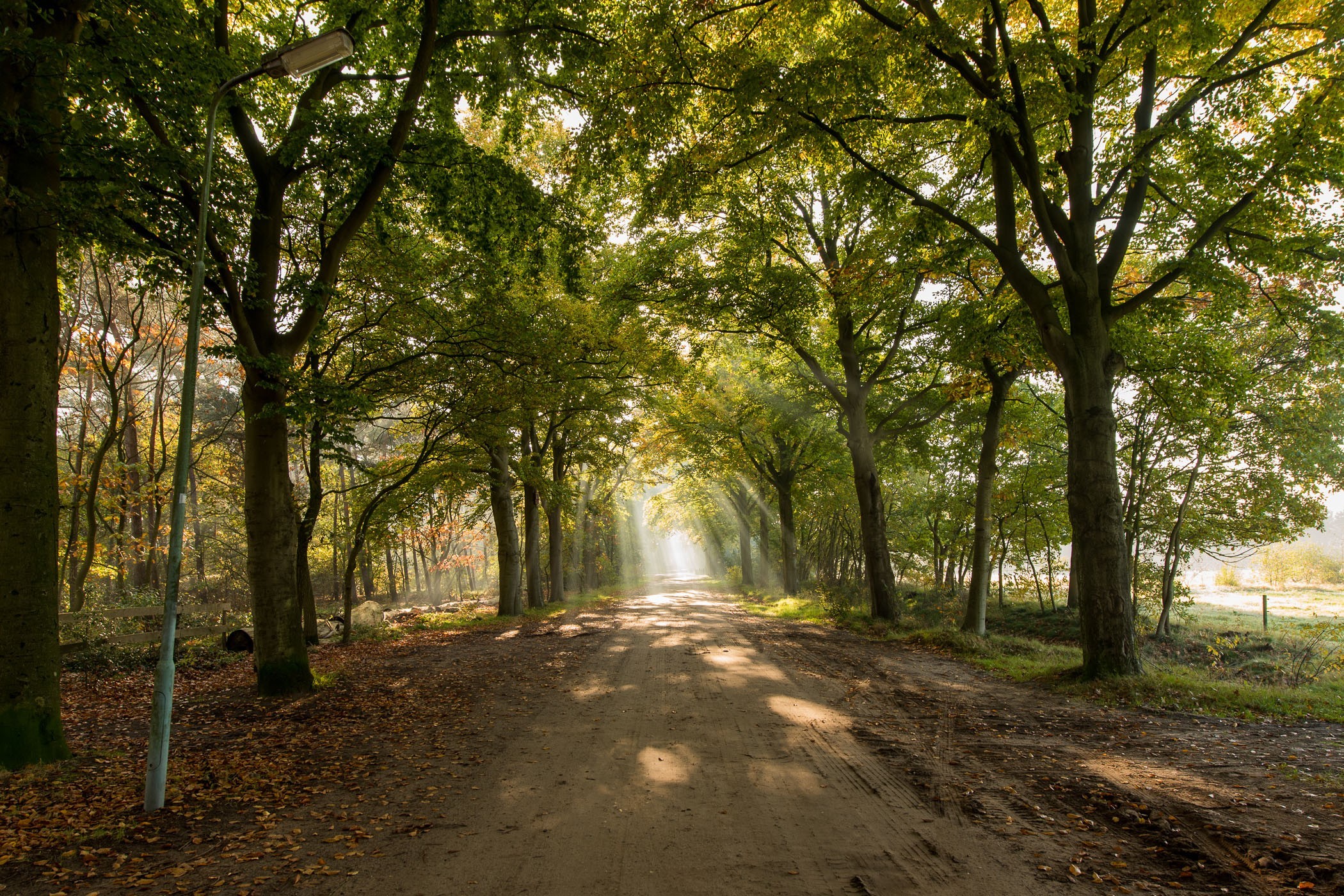 Zonneharp fotograferen