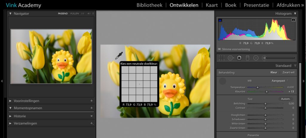 Pipetje witbalans Lightroom