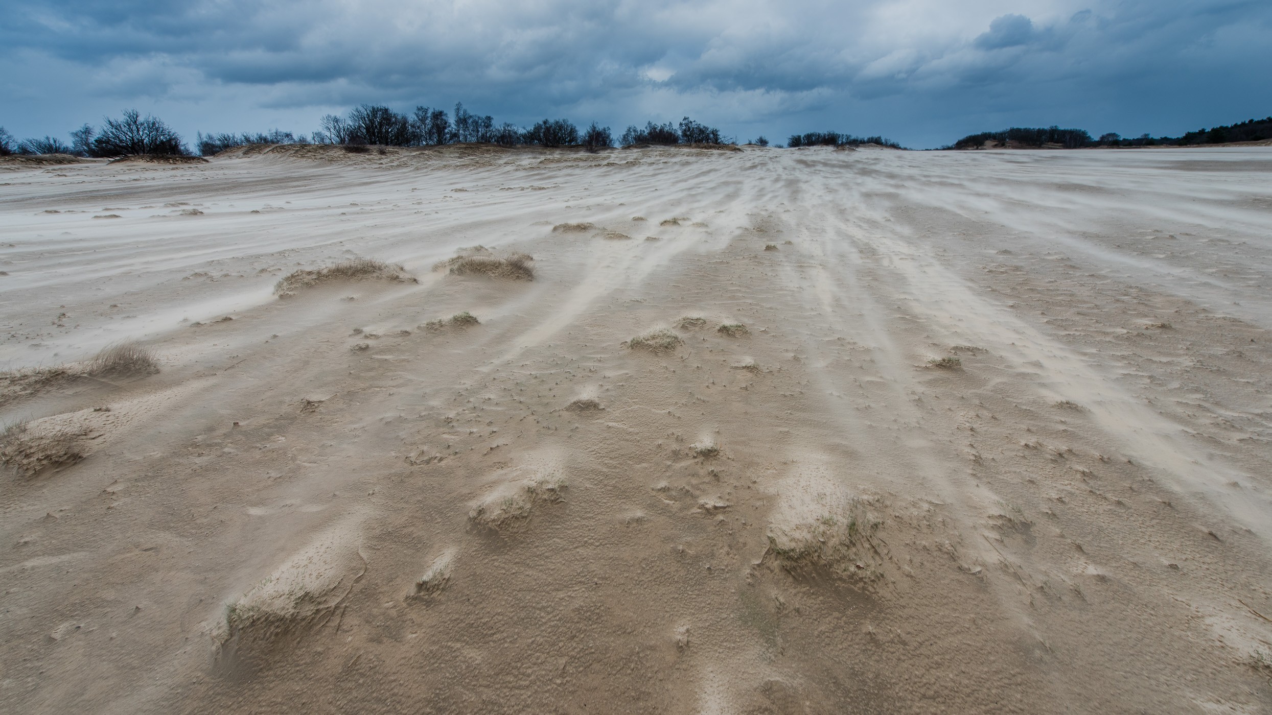 Een van de tofste momenten op de Loonse en Drunense Duinen: fotograferen tijdens een (zand)storm! :)