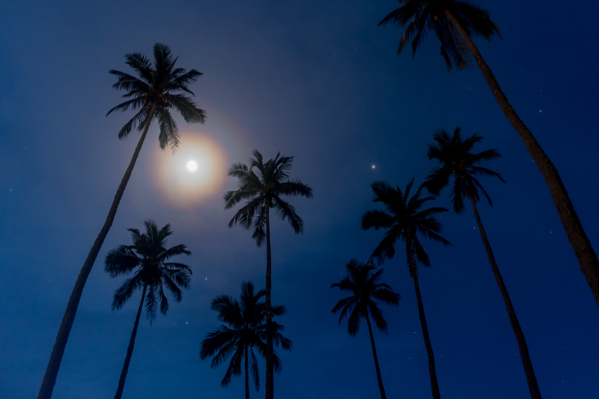 Maan met silhouetten van palmbomen