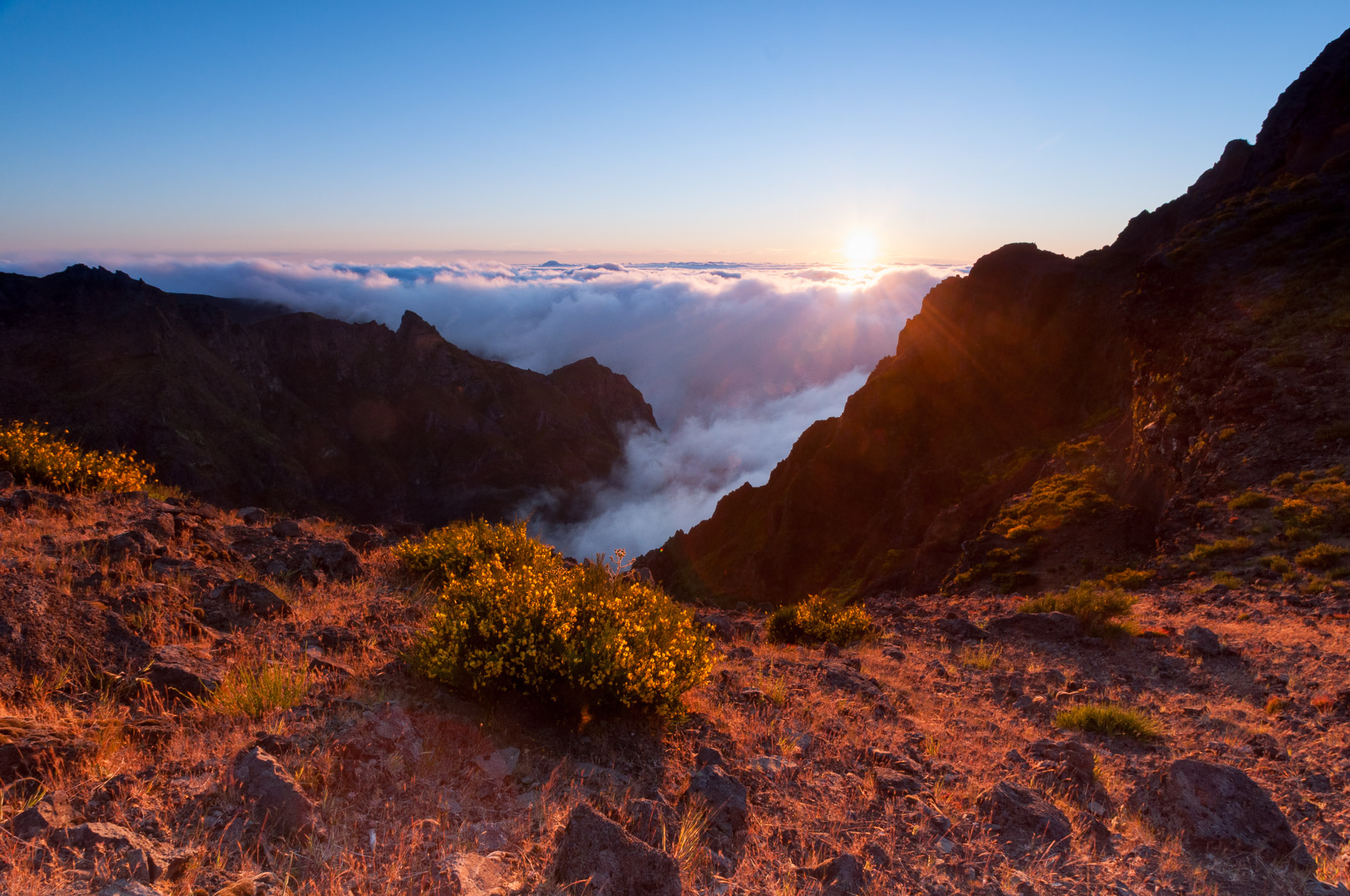 Net na zonsopkomst geeft de zon een brons-rode gloed over het landschap.