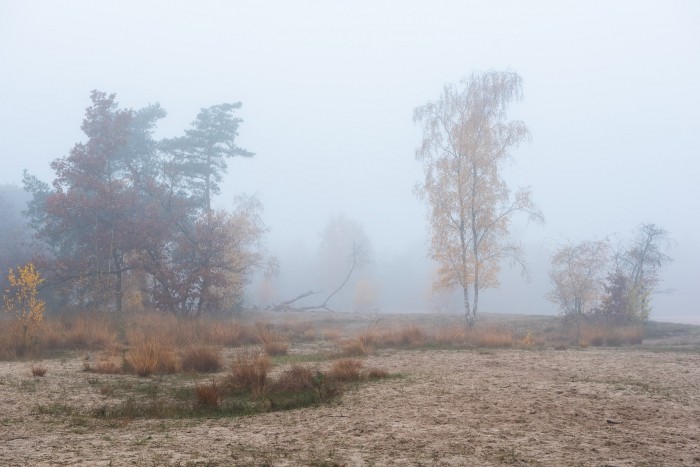 Mist gefotografeerd vanaf statief
