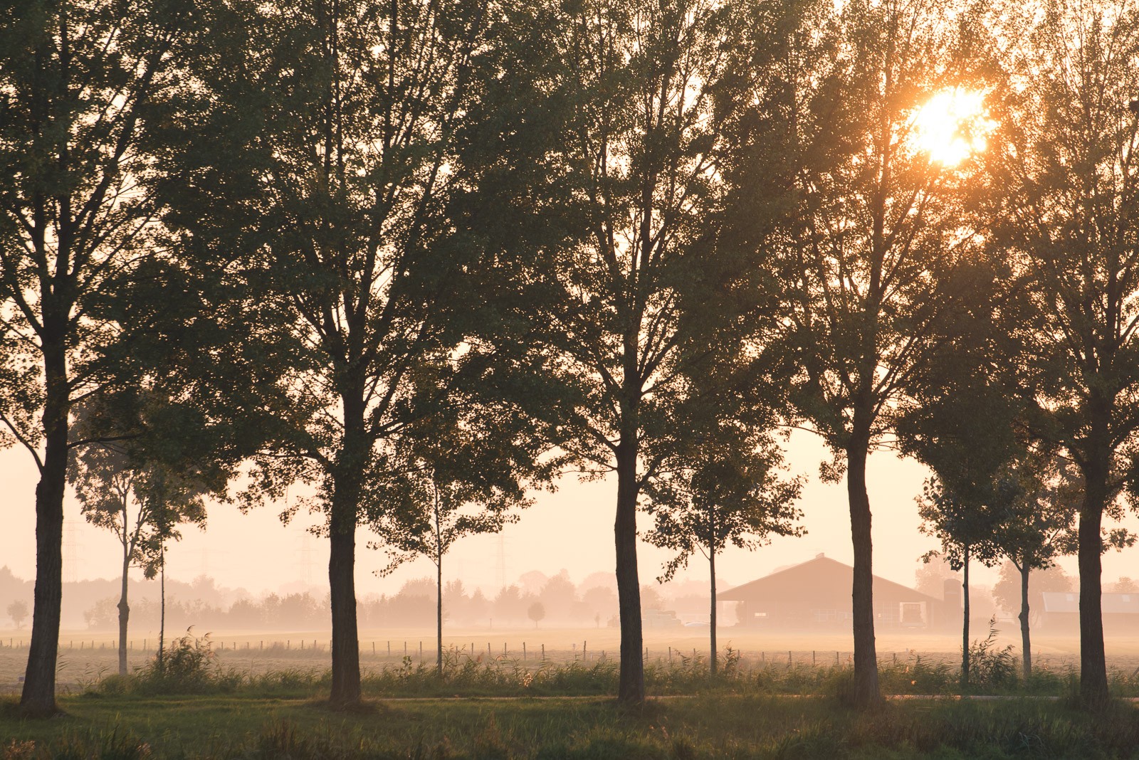 Om de nevel/mist in de verte te benadrukken, fotografeerde ik met een 70-300mm objectief op 270mm.