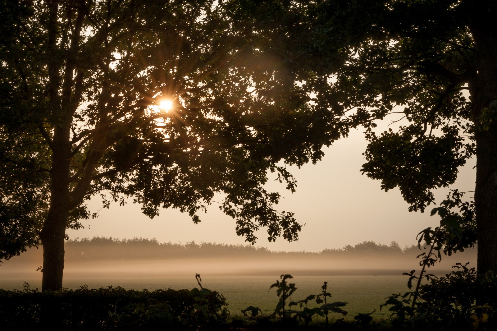 Een kader om het mistige landschap