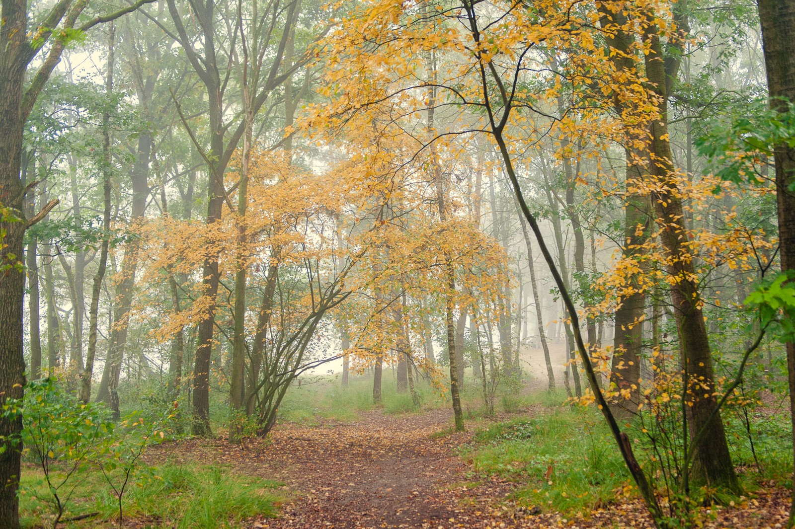 8 tips voor het fotograferen van de herfst • Vink Academy