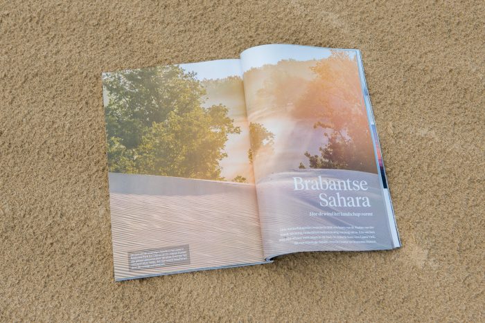 Mijn fotoserie over de Brabantse Sahara in National Geographic, gefotorafeerd op bij Loonse en Drunense Duinen. :)
