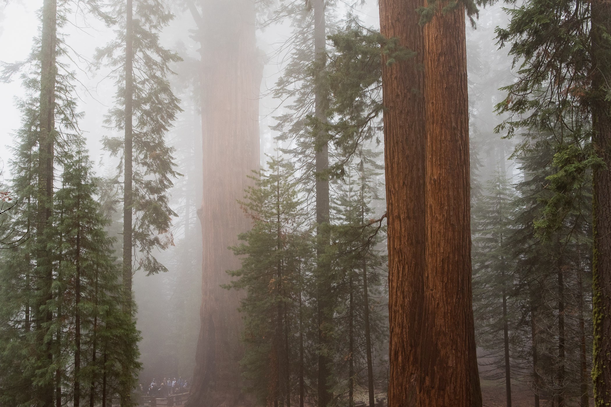 Nevel verwijderen in Lightroom en Photoshop