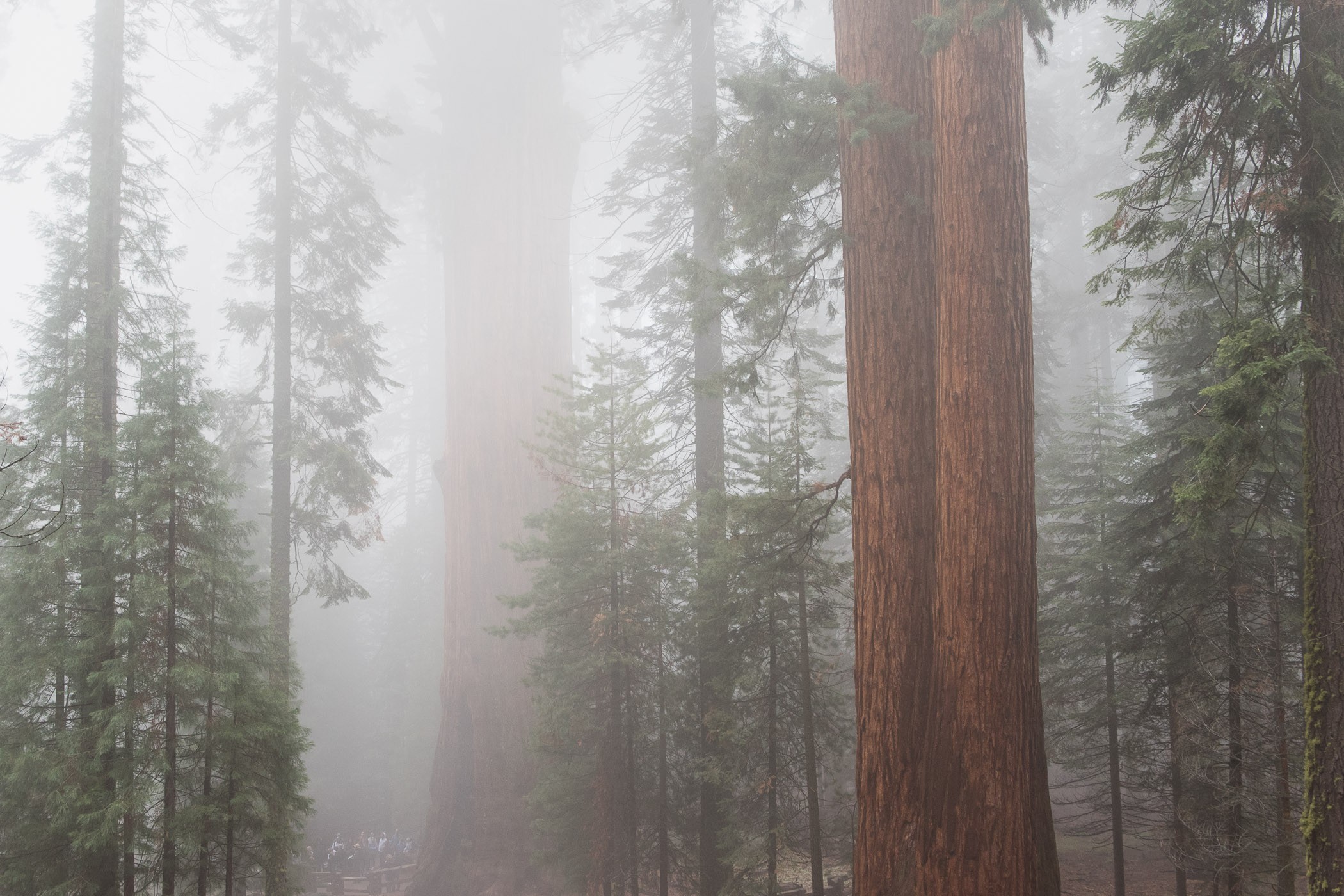 Nevel verwijderen in Lightroom en Photoshop