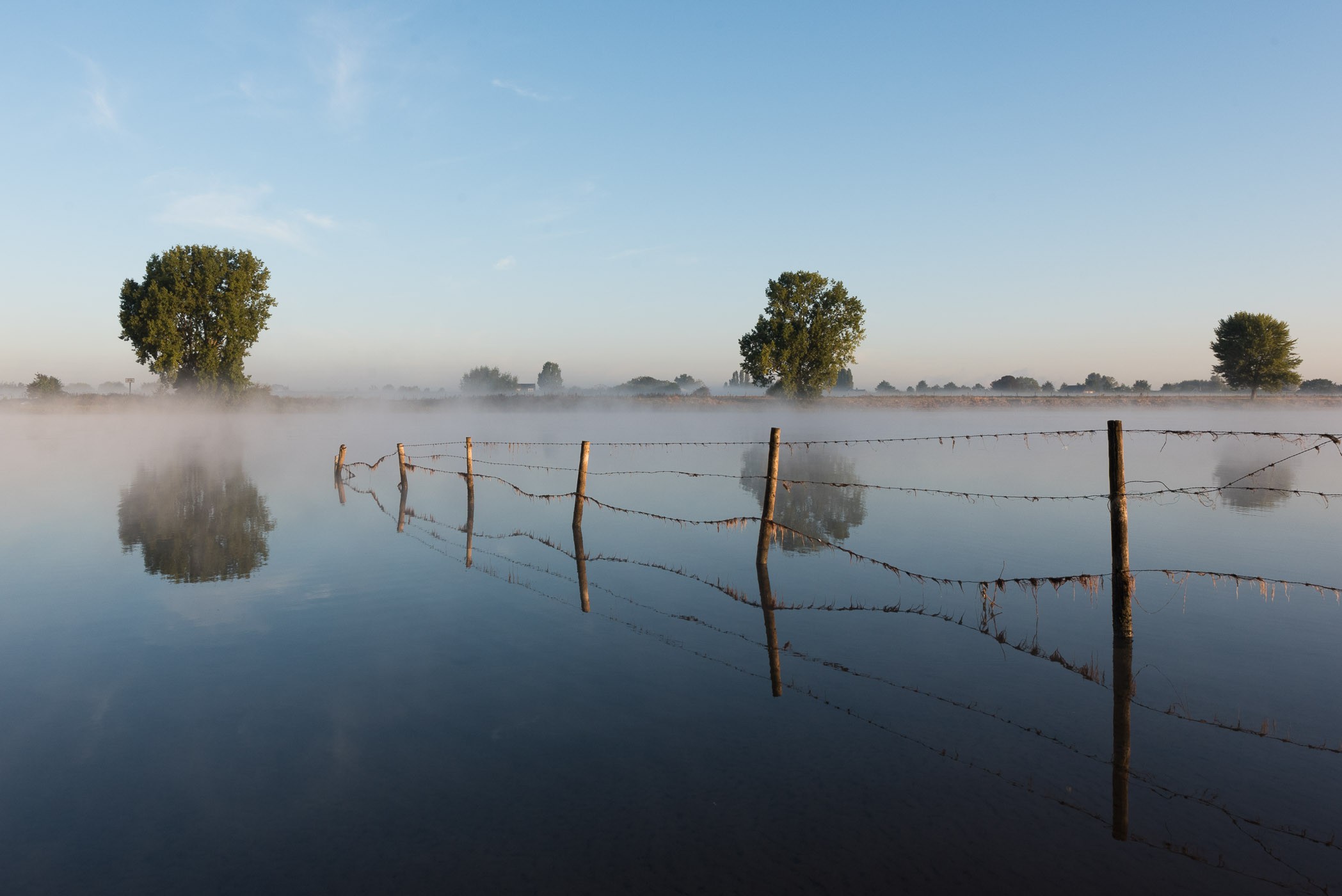 Mist versterken met Nevel verwijderen