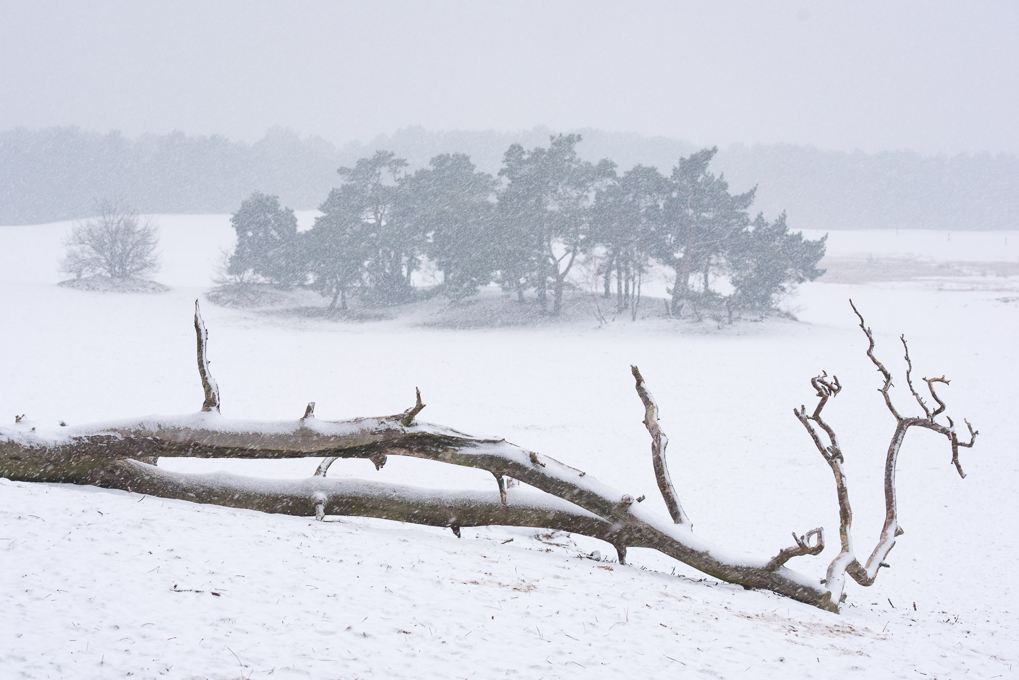 Dehaze bij sneeuwfoto's