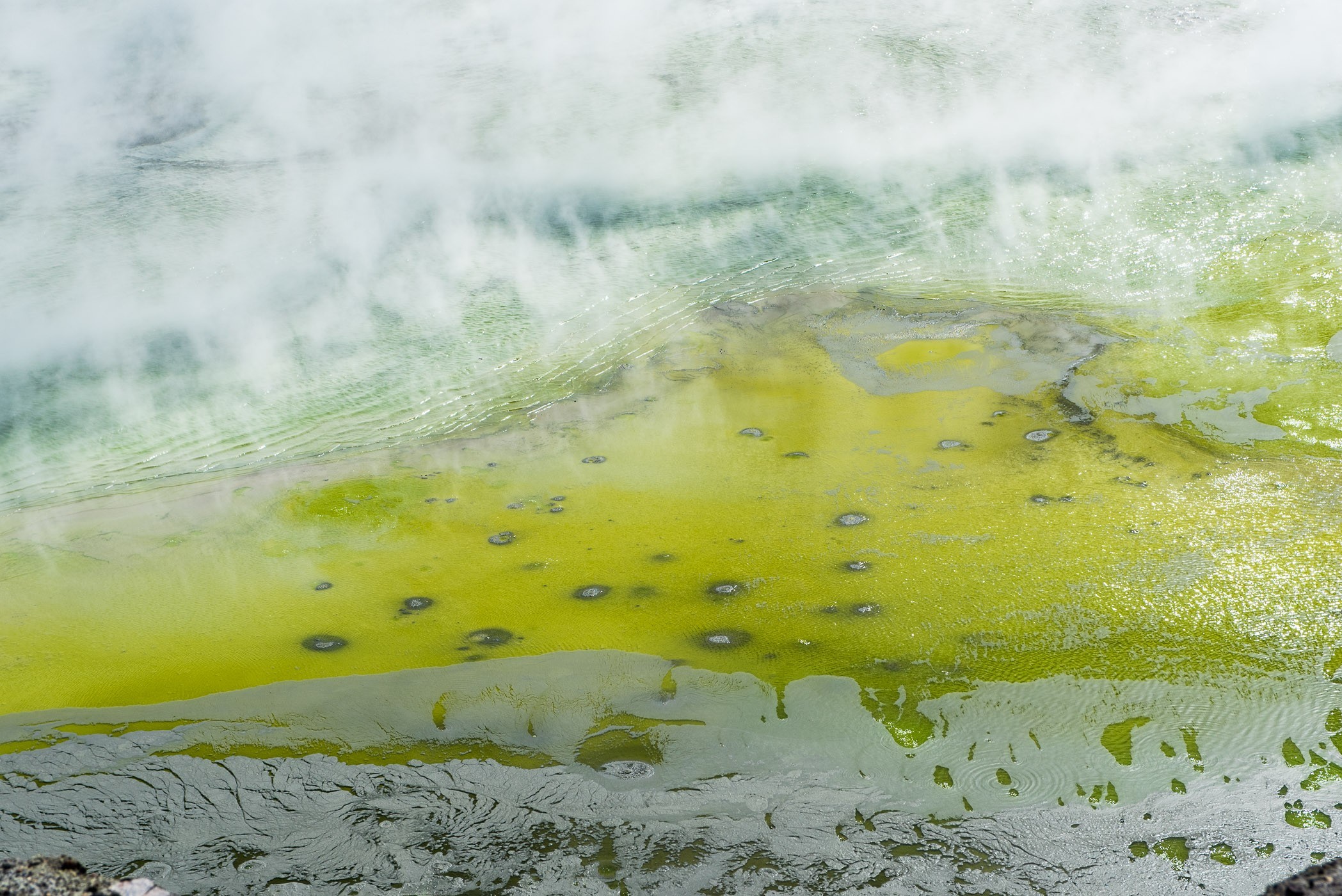 Nevel verwijderen bij stoom