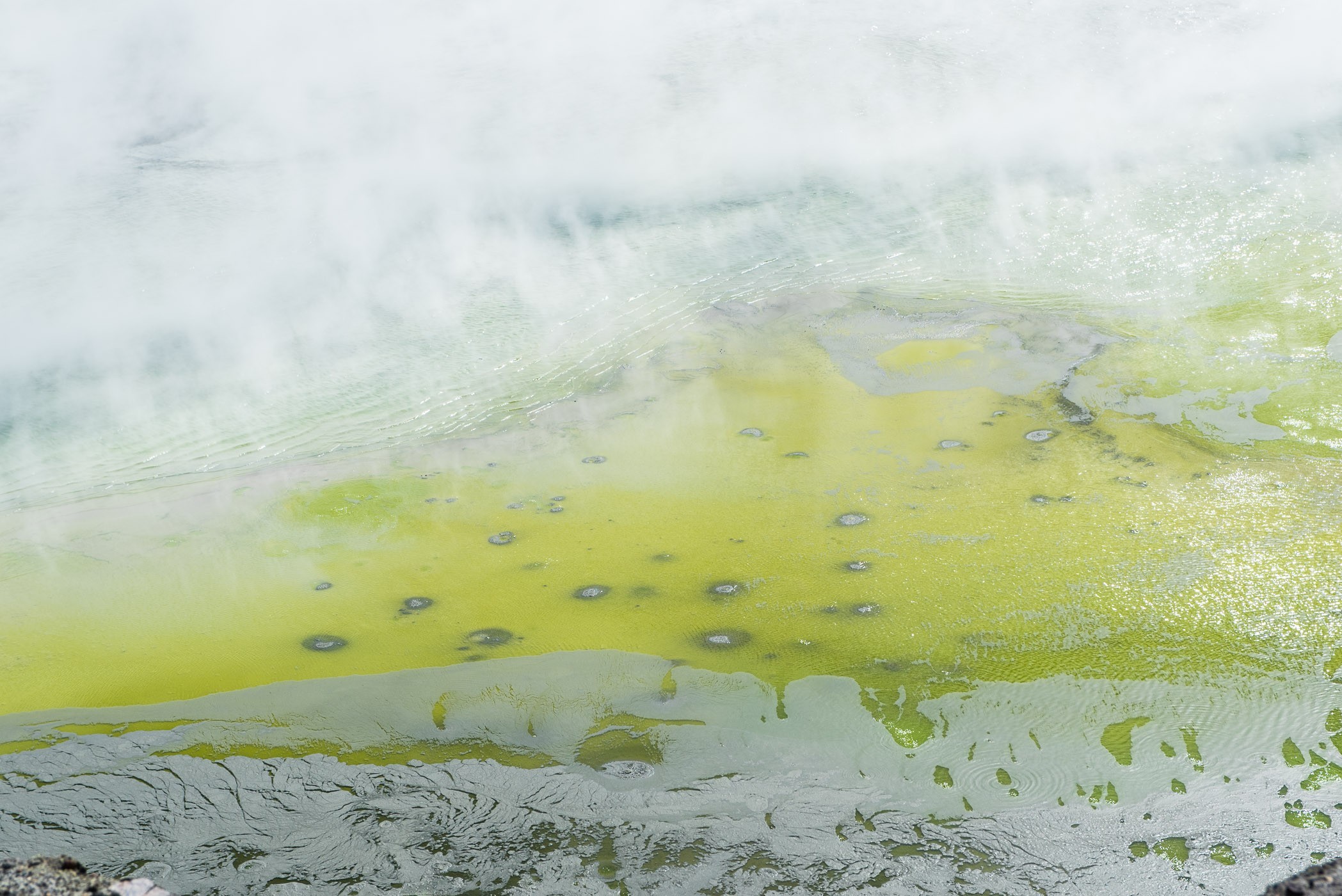 Nevel verwijderen bij stoom