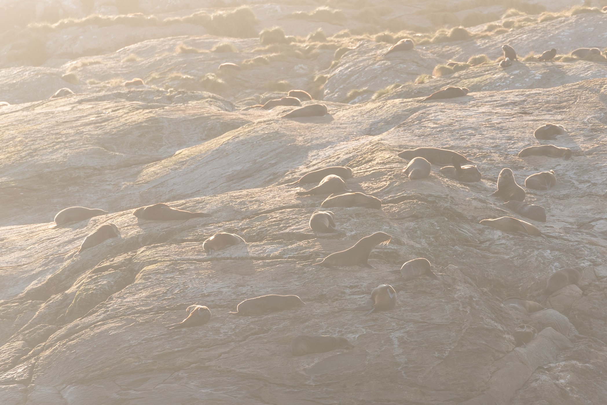 Nevel verwijderen in Lightroom en Photoshop bij tegenlicht