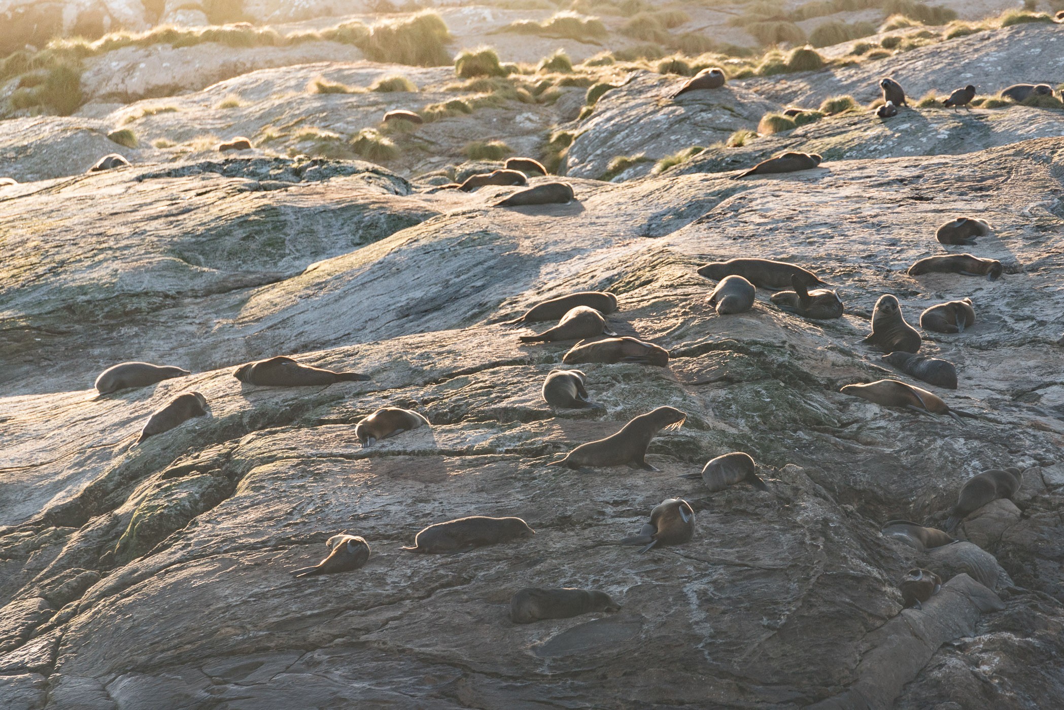 Nevel verwijderen in Lightroom en Photoshop bij tegenlicht