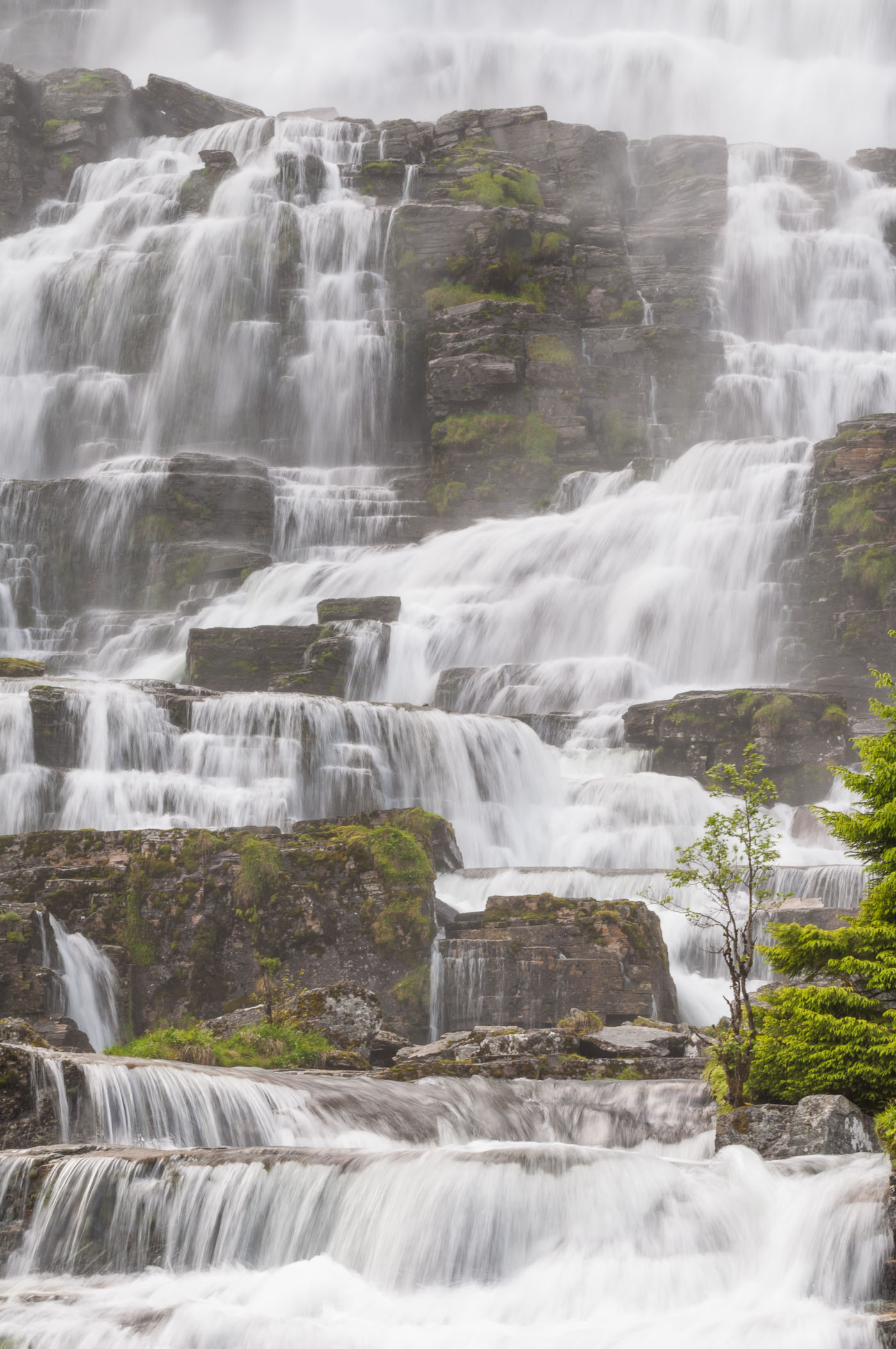 Nevel verwijderen bij een waterval