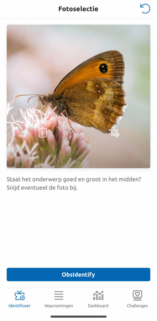 Maak de foto en zorg dat het te identificeren object groot in beeld staat. Klik op het crop-icoontje om de foto nog aan te passen.