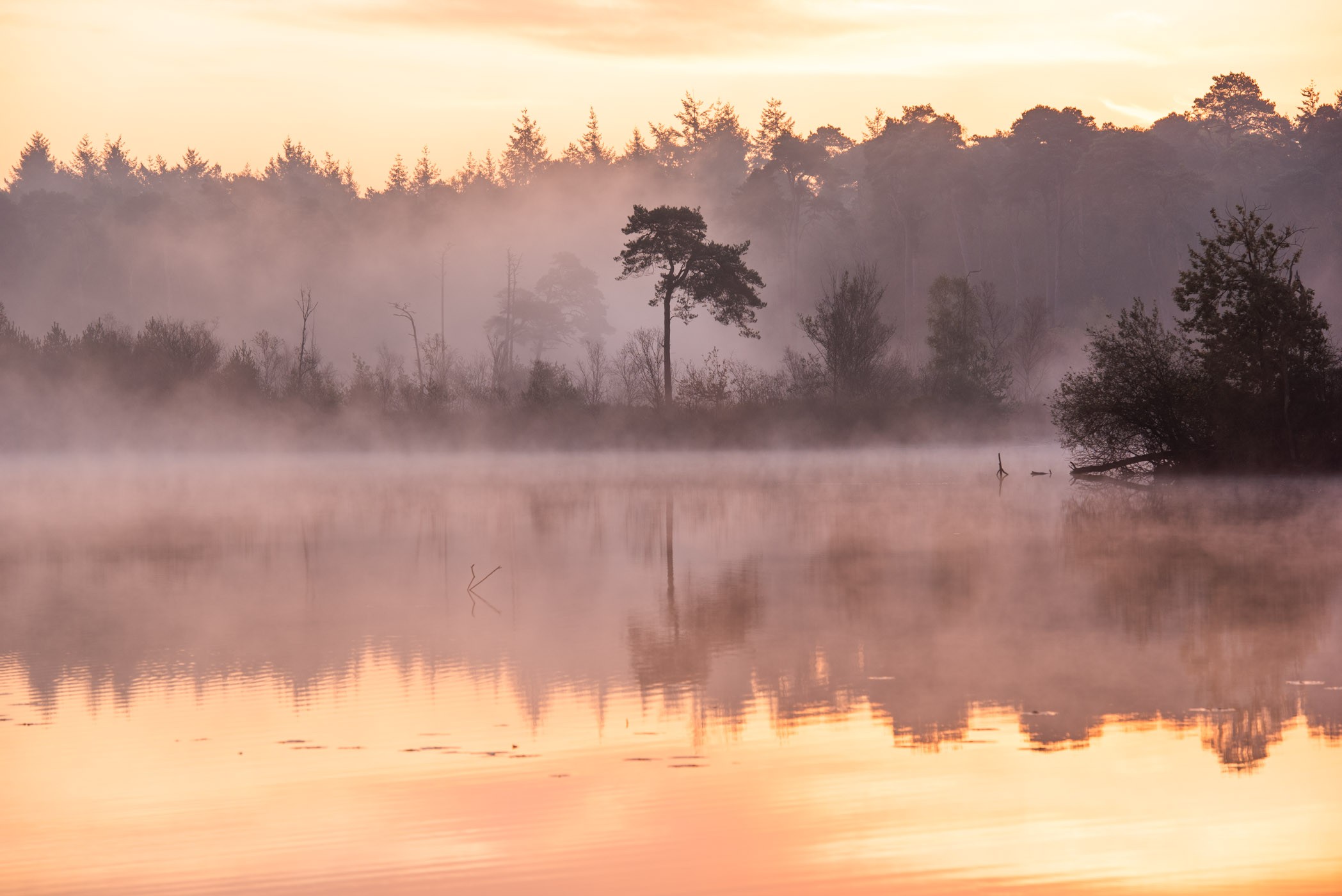 Zonsopkomst met mistlaagje boven het water