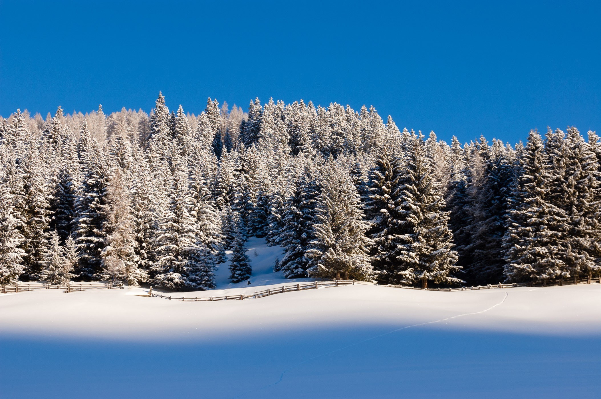 Content Aware Fill (Verdwijning)