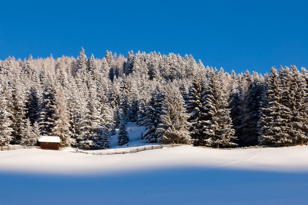 Content Aware Fill (Originele foto)