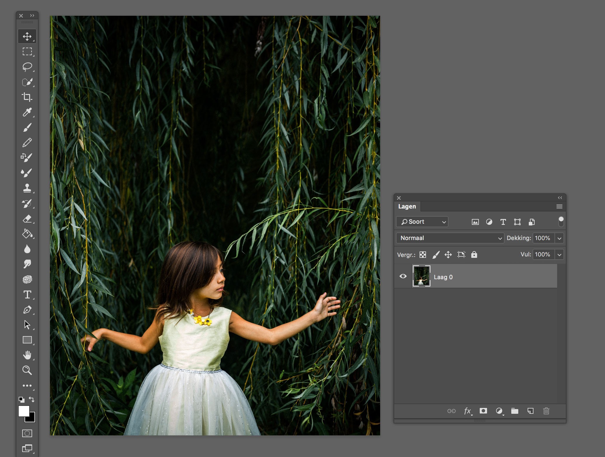 Vrijstaand maken van de foto in Photoshop