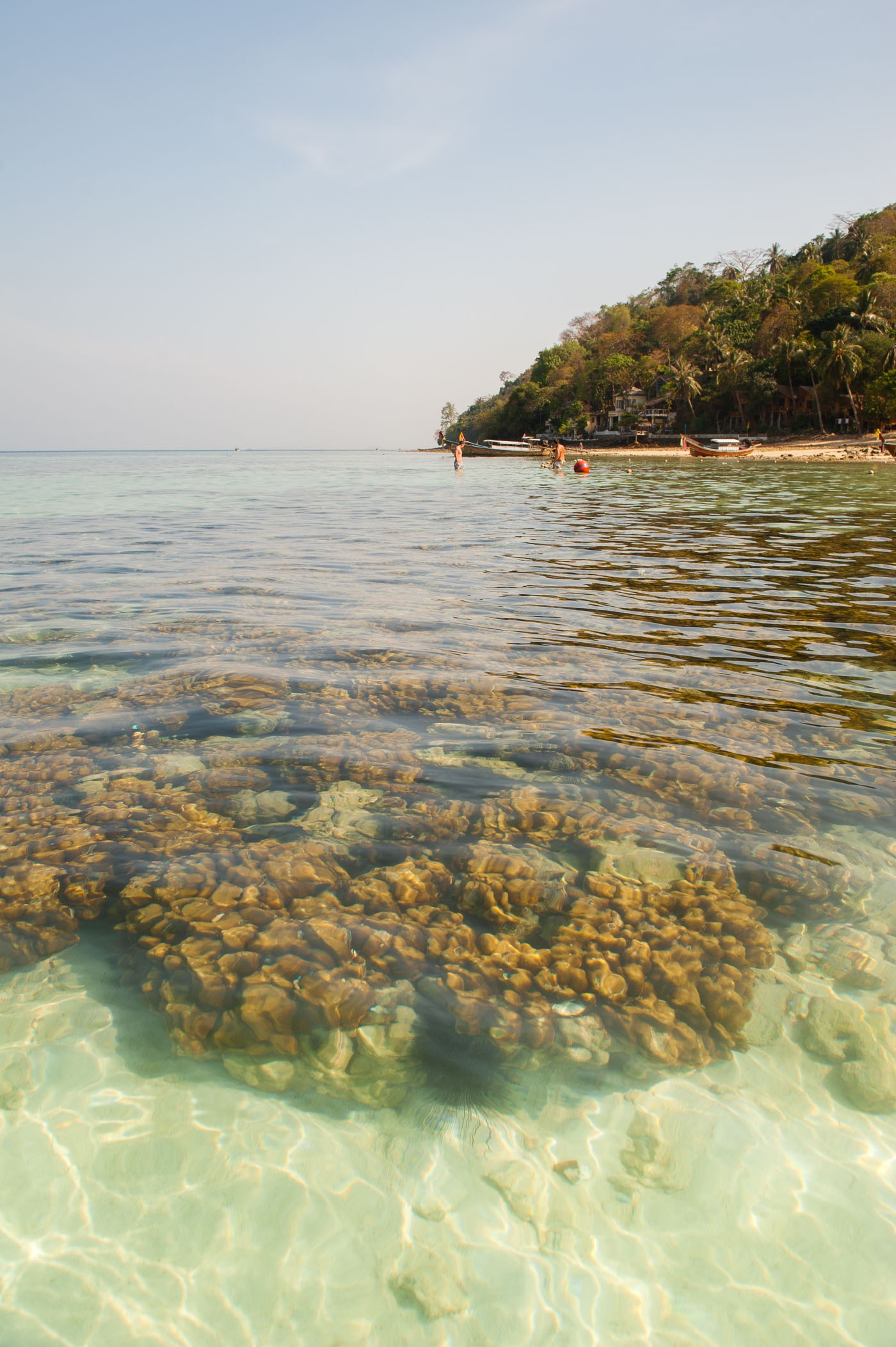 Polarisatiefilter bewerking