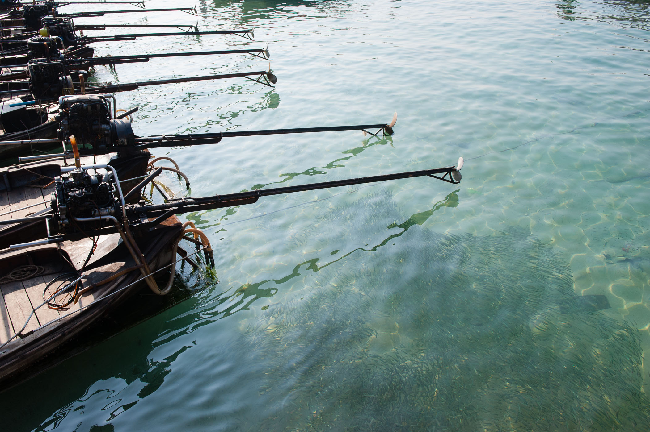 De reflectie van de lucht voorkomt dat je goed naar de vissen kan kijken. Het polarisatiefilter vermindert deze reflectie. Wat een verschil he?