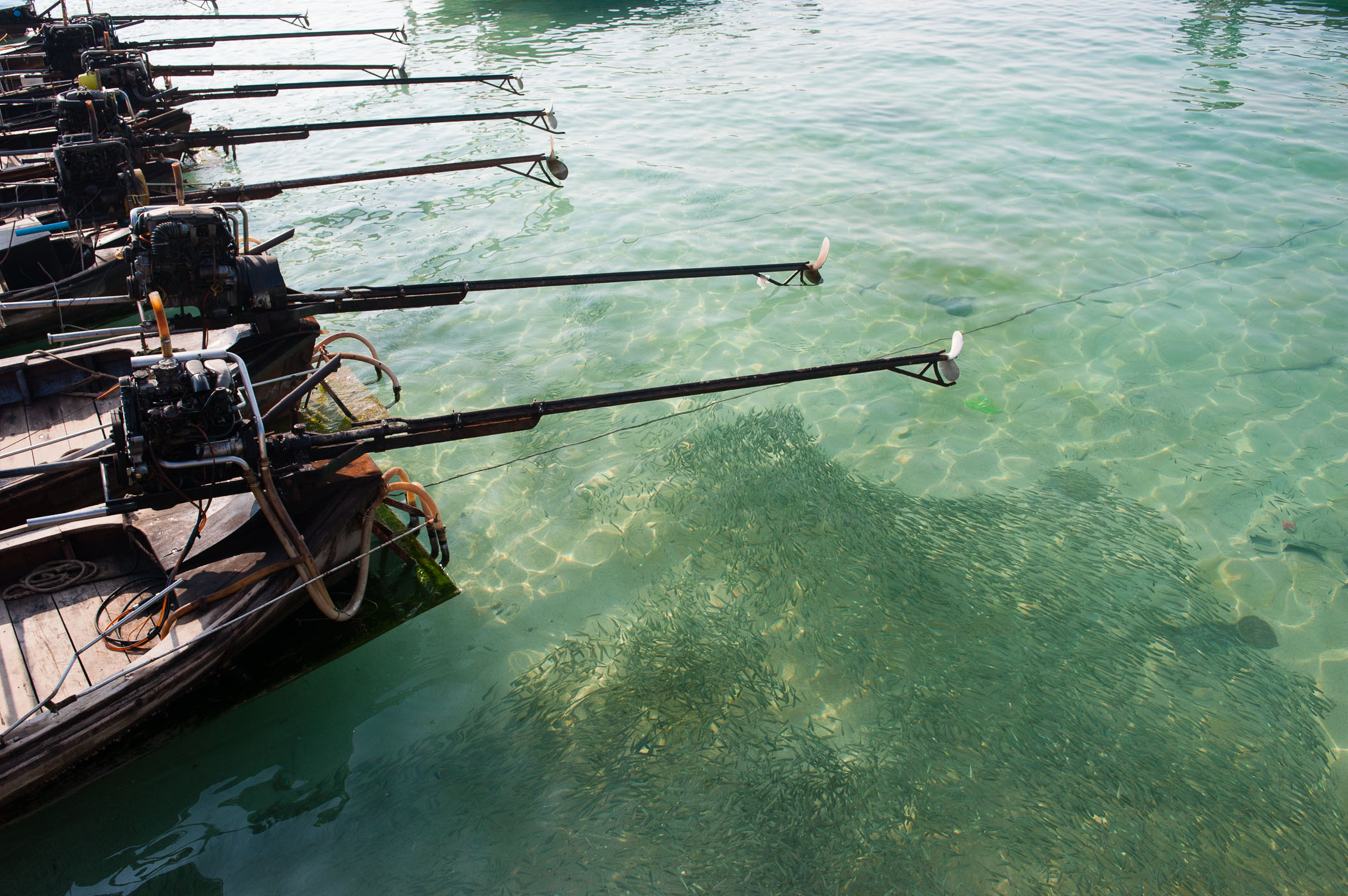 De reflectie van de lucht voorkomt dat je goed naar de vissen kan kijken. Het polarisatiefilter vermindert deze reflectie. Wat een verschil he?