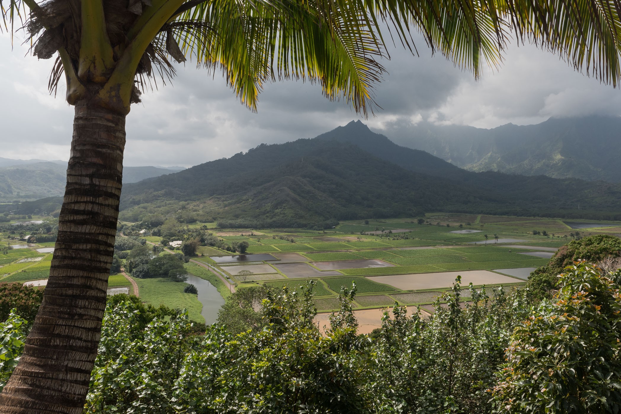 Polarisatiefilter bij natuurfotografie