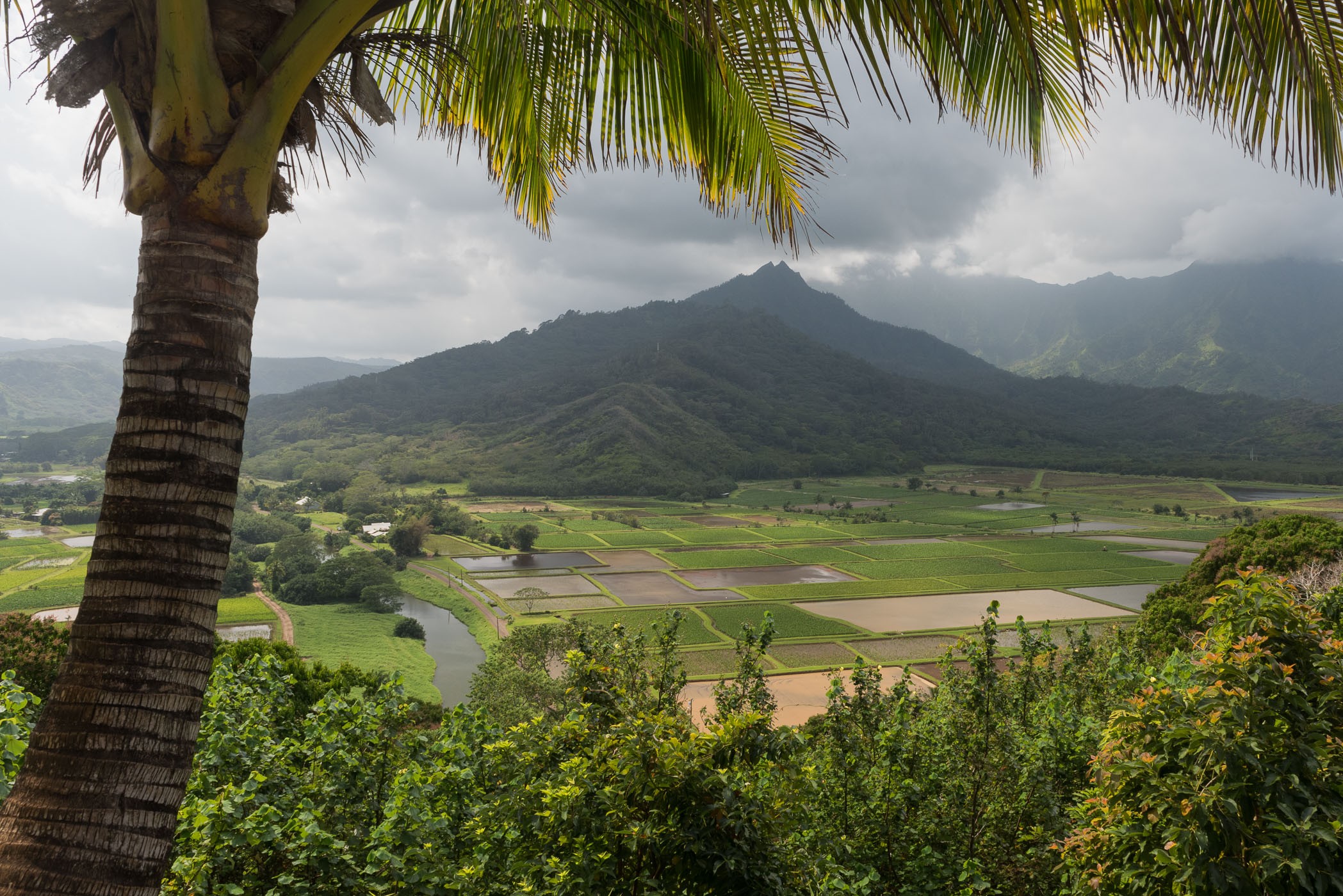 Polarisatiefilter bij natuurfotografie