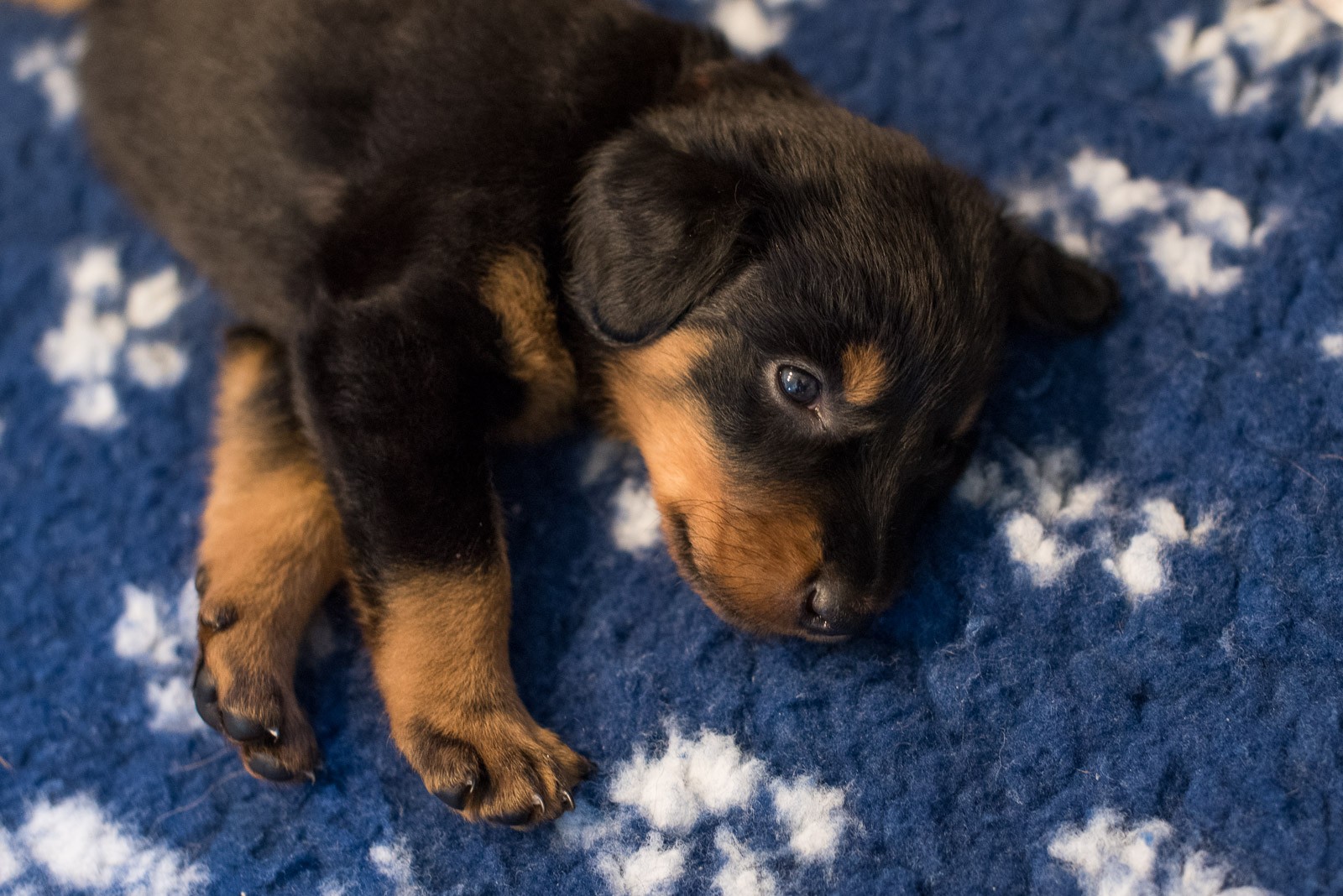 JJ (toen nog 'meisje rood') 1 maand oud. Is het geen dotje?