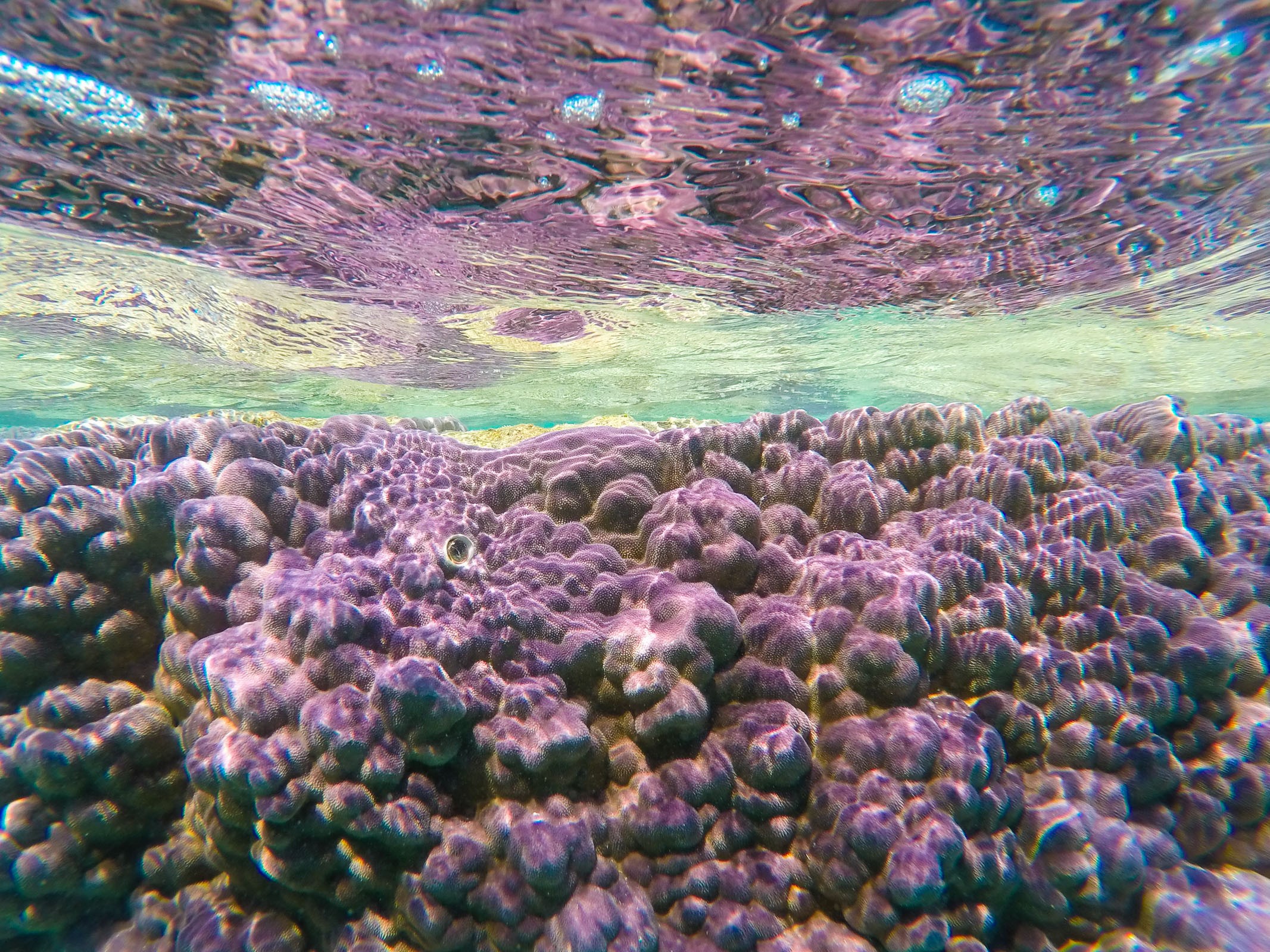 Reflectie op het wateroppervlak