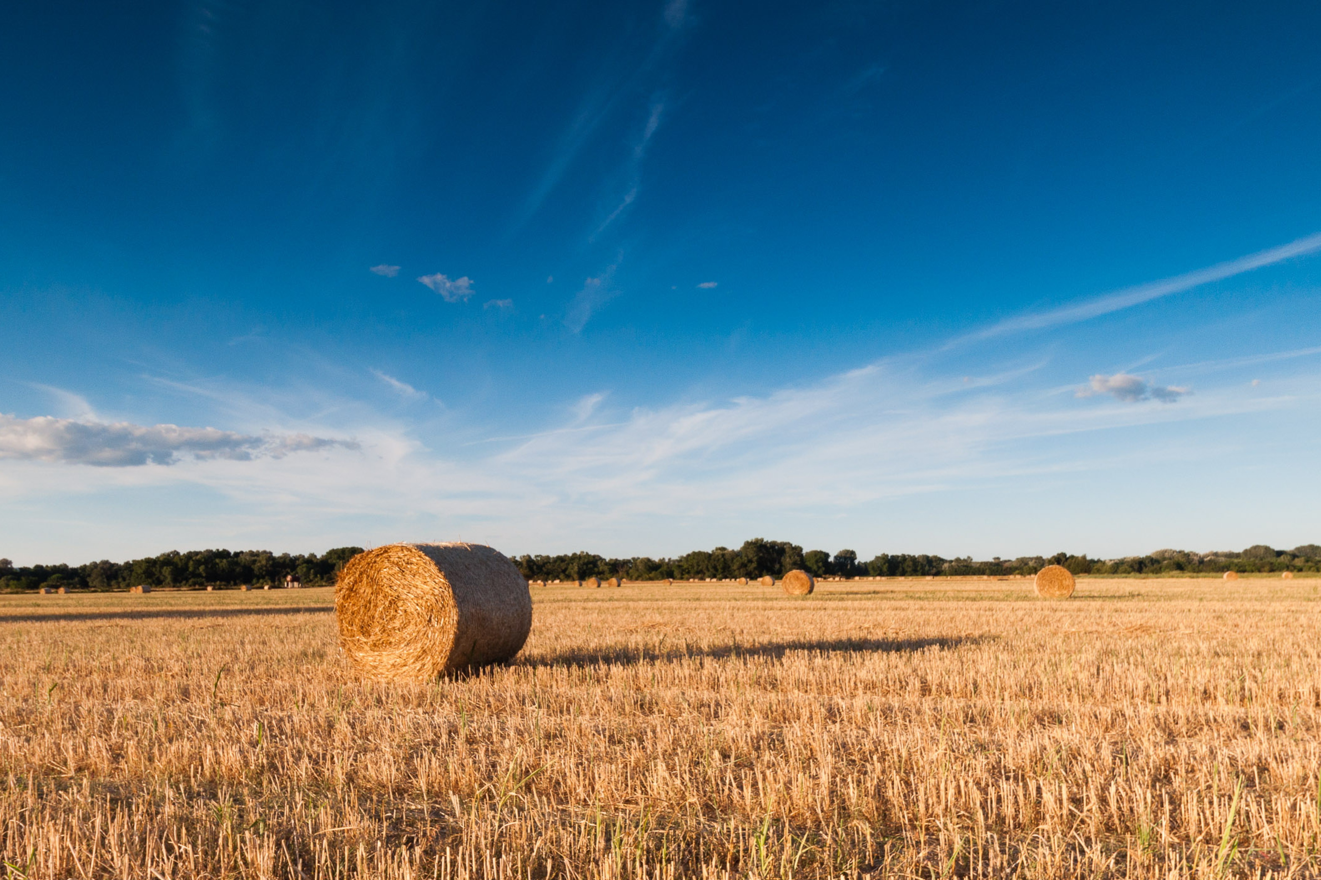 Hooi balen in Frankrijk