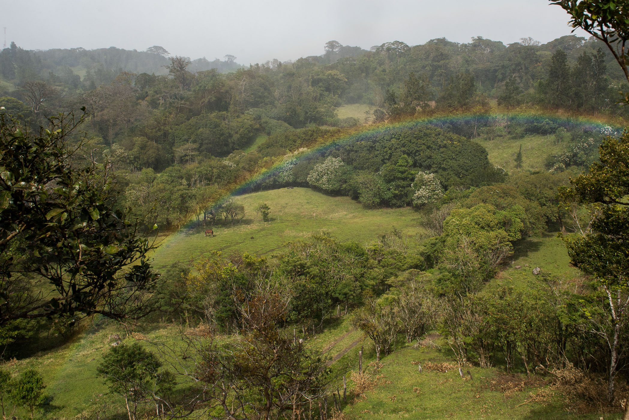 In de regen een regenboog fotograferen