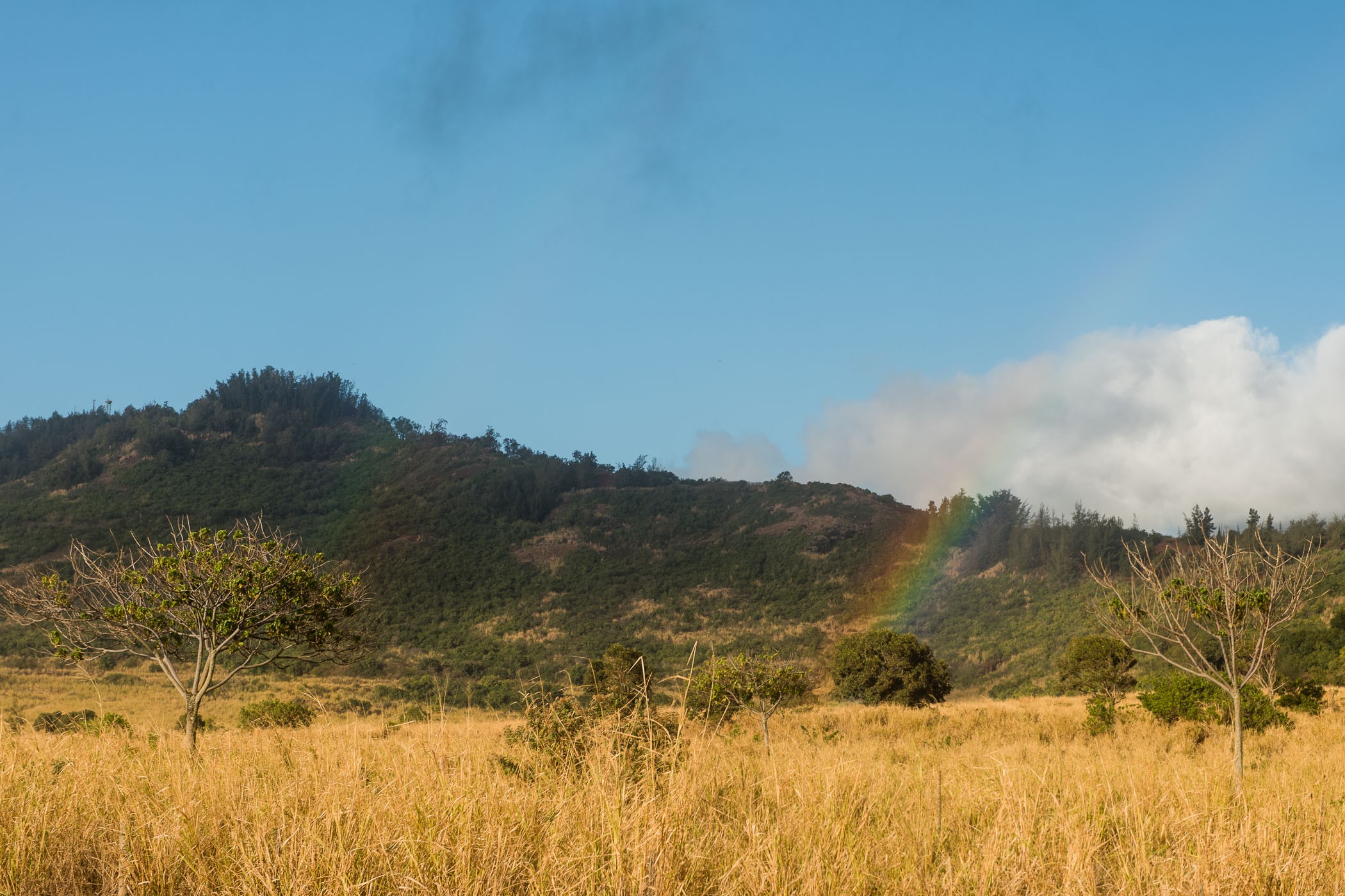Niet elke regenboog fotografeert even makkelijk