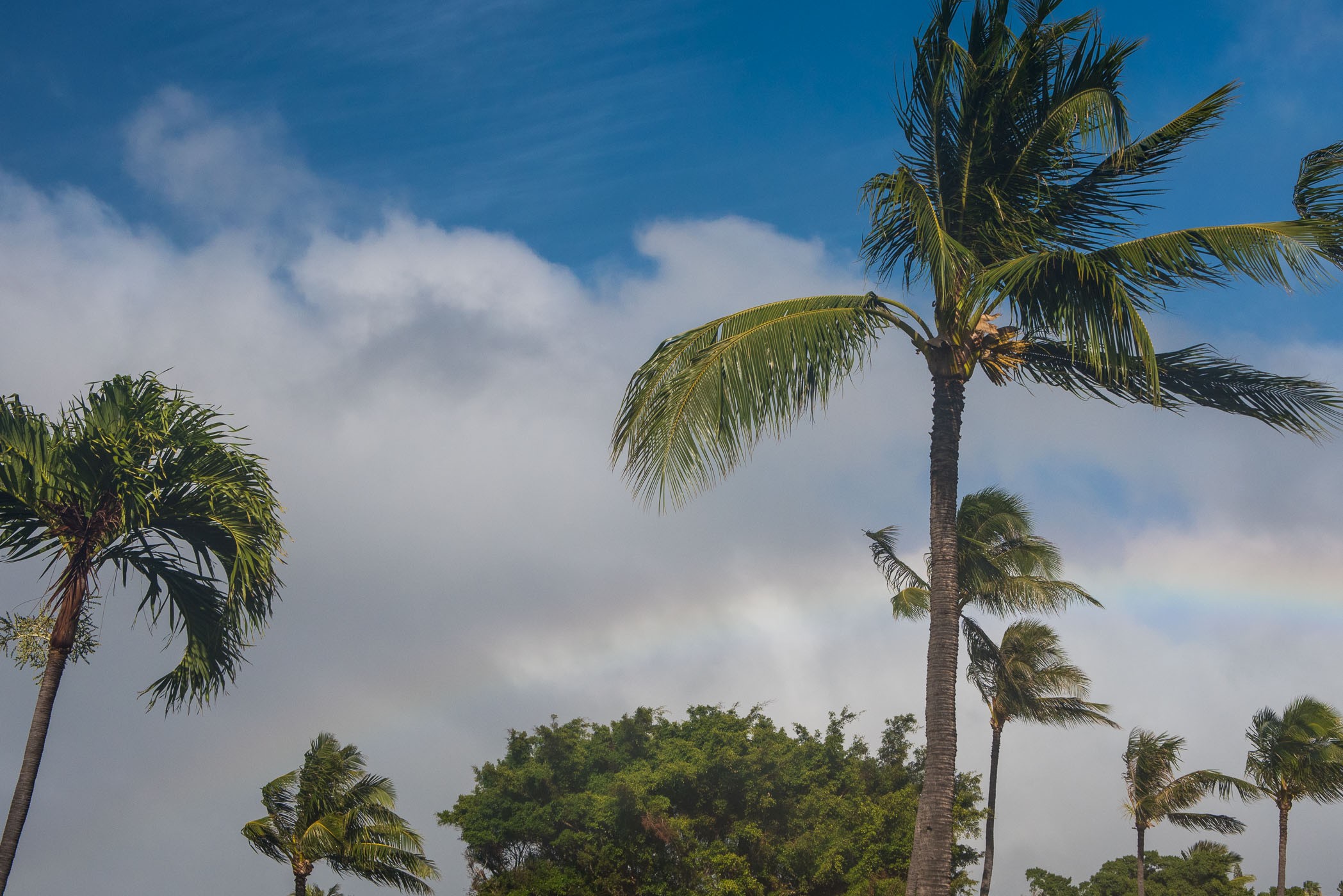 Polarisatiefilter bij een regenboog