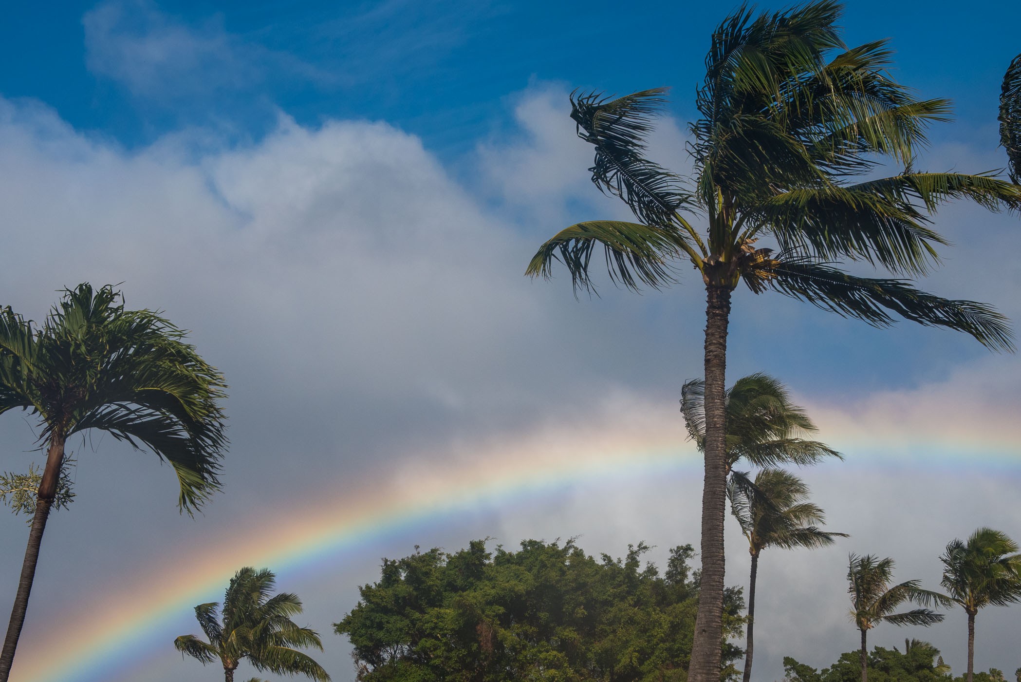 Polarisatiefilter bij een regenboog