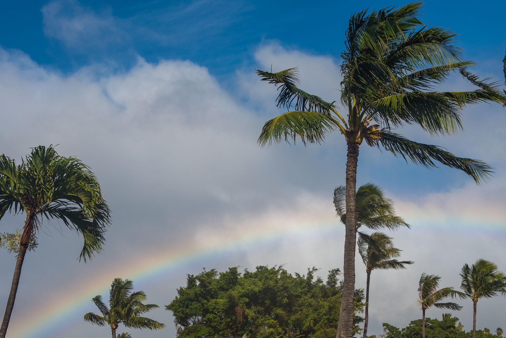 Polarisatiefilter bij een regenboog