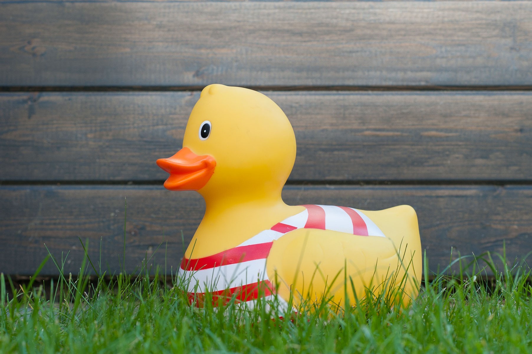 85mm f/8 - Hoe lager het getal van het diafragma, hoe kleiner de scherptediepte wordt.