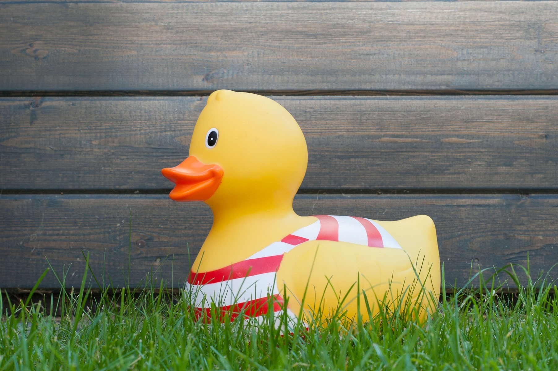 85mm f/16 - Het diafragma is één van de factoren die de scherptediepte bepaalt