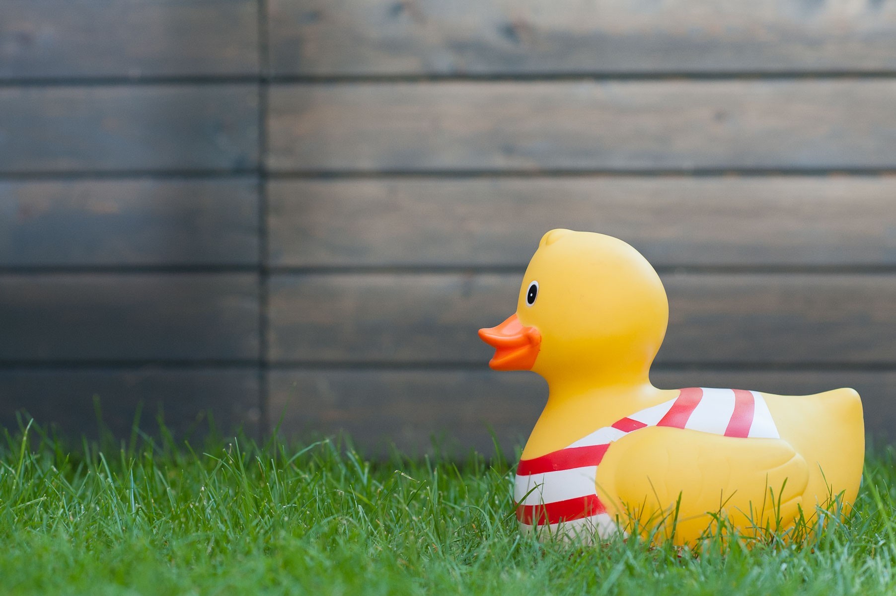 85mm f/4 - Je ogen gaan automatisch naar de scherpe delen in de foto, in dit geval de badeend. Door de wazige achtergrond maak je dus duidelijk wat het onderwerp in de foto is.