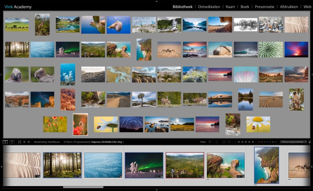 Een grove selectie van mijn foto's in Lightroom