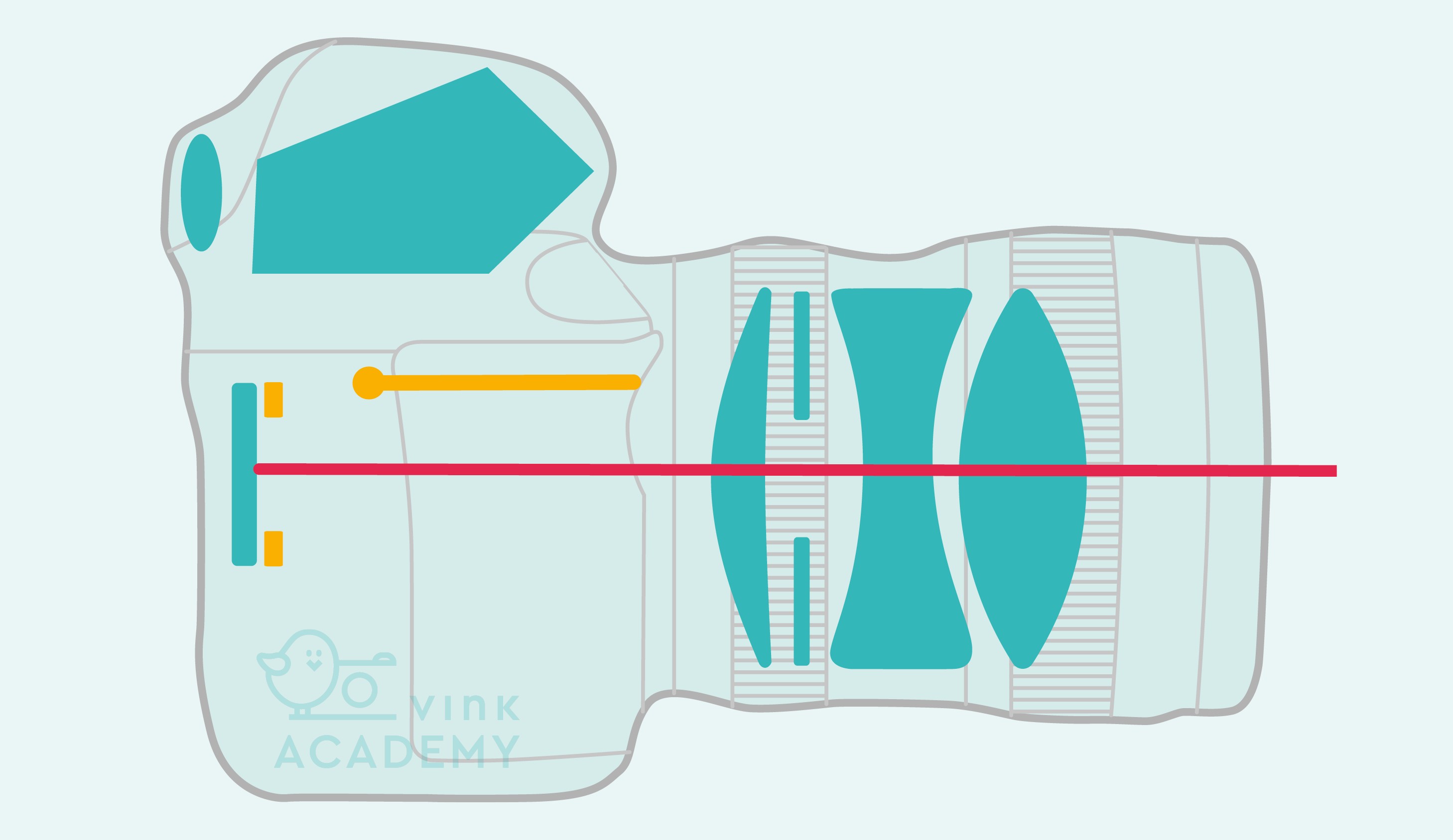 Als je de ontspanknop indrukt, gaat de spiegel omhoog en vervolgens de sluiter op.