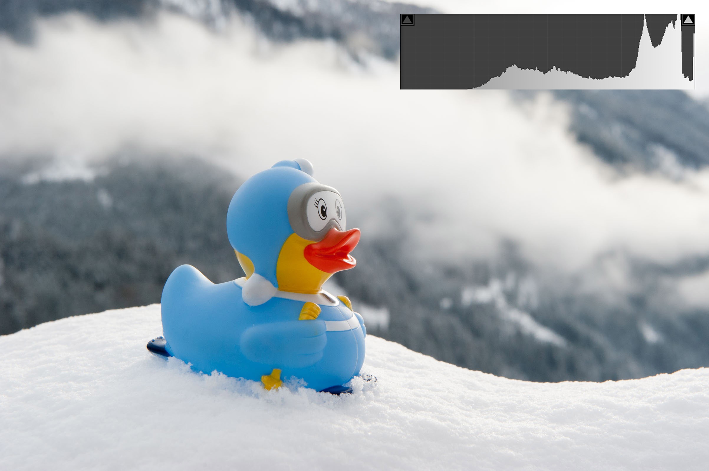 Belichting bij fotograferen in de sneeuw