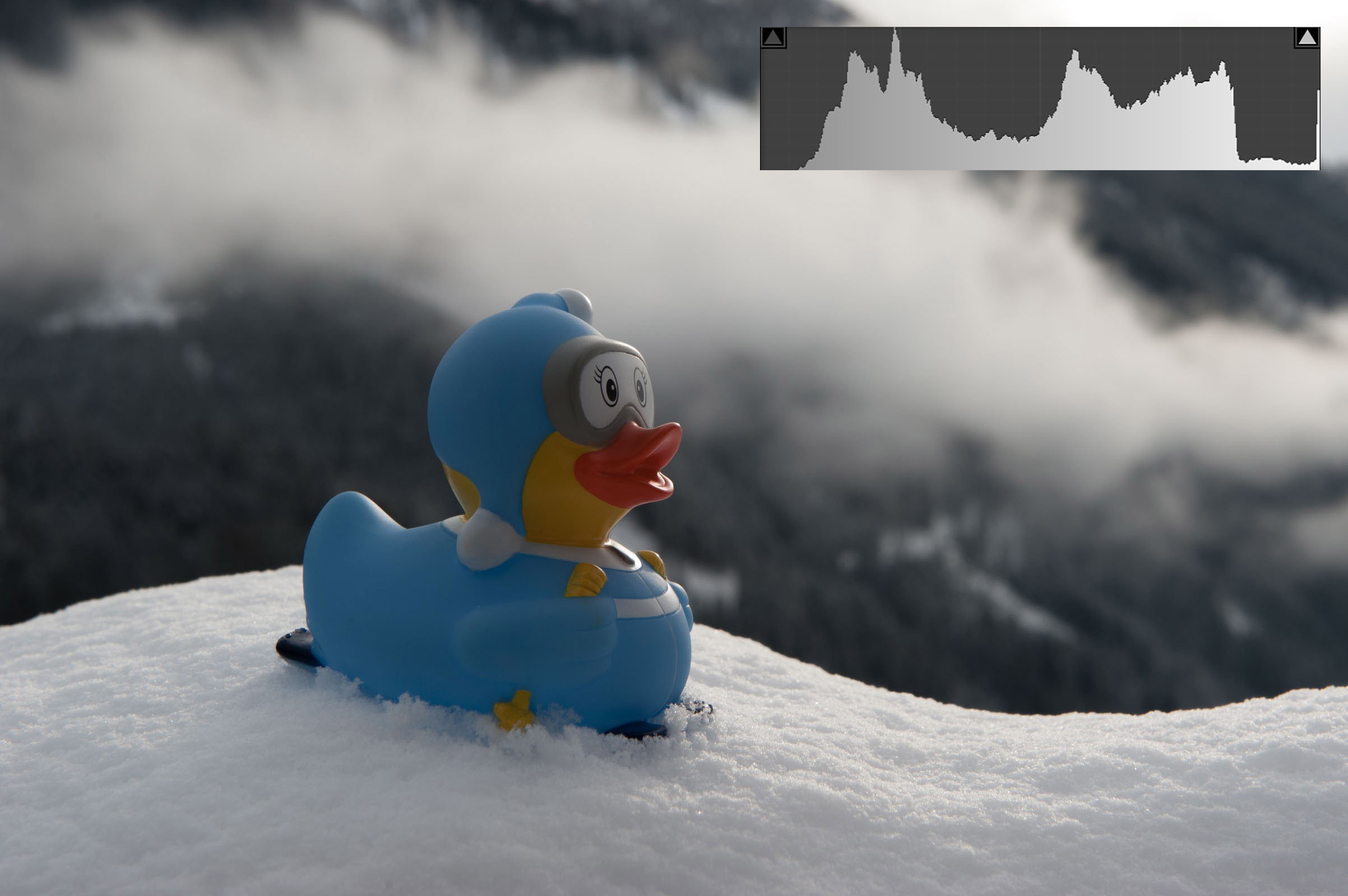 De sneeuwfoto werd te donker