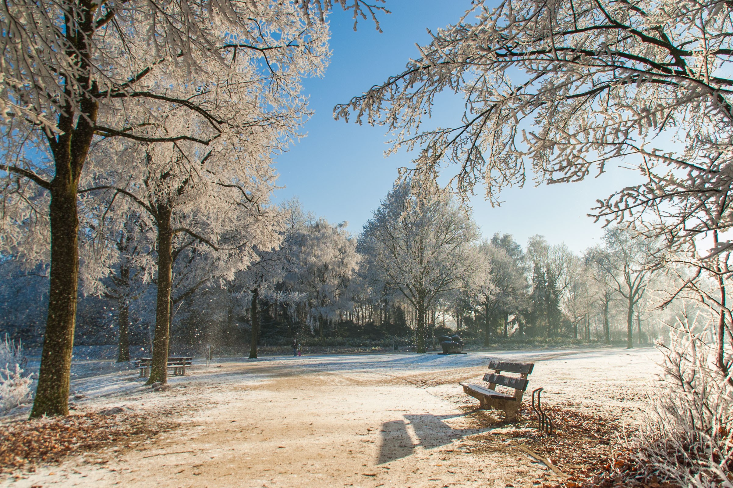 Het rijp aan de bomen is hier al aan het smelten. Met een beetje wind waait er een hoop naar beneden, waardoor het ook lijkt alsof het sneeuwt.
