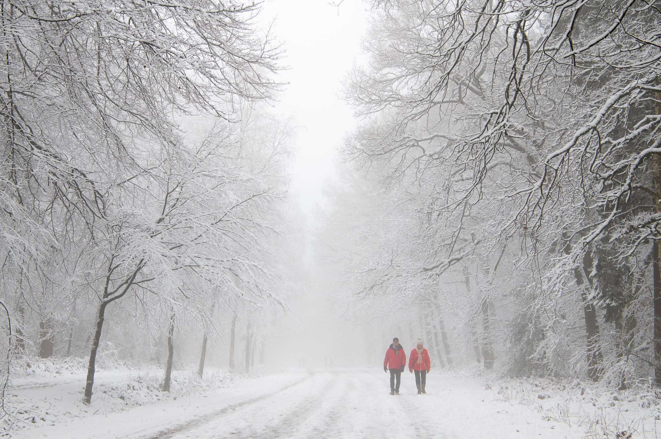 Man en vrouw in rode jassen loopt door besneeuwd landschap