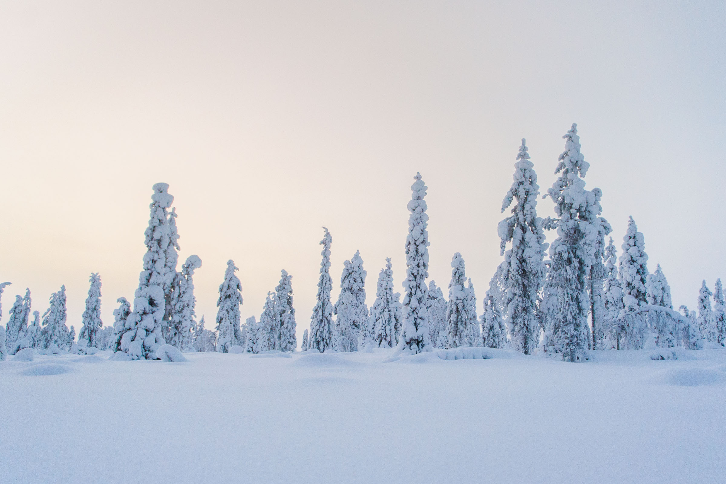Een blauwe lucht is niet de enige kleur die contrast biedt in de foto. Deze gekleurde lucht bij zonsopkomst geeft ook voldoende contrast en voorkomt dat de foto te plat wordt.